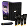 Shunga Coffret Ensemble Geisha Coquine